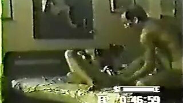 Colombian celebrity LULY BOSA