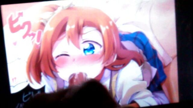 SOP on Honoka Kousaka (Love LIve!)