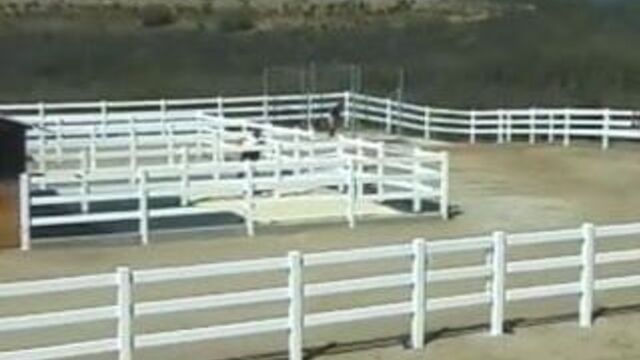 My Barn My Rules