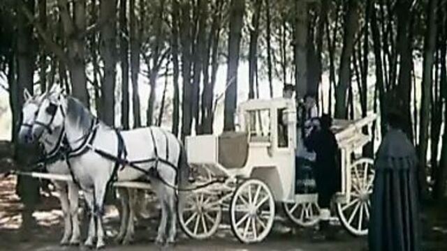 Kathy Shower - Velvet Dreams