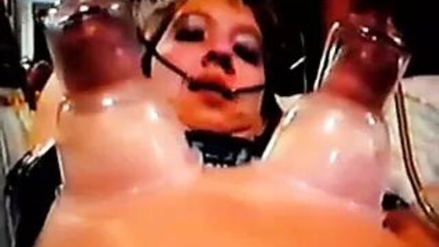 Human cow