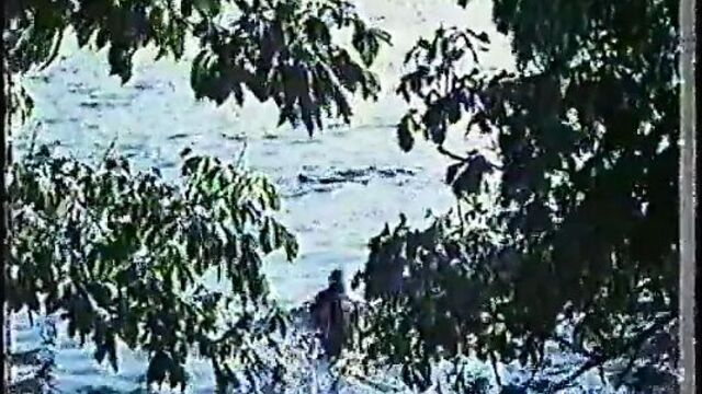 Judy Geeson Undress Nude