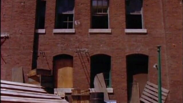 Playboy Wet & Wild III