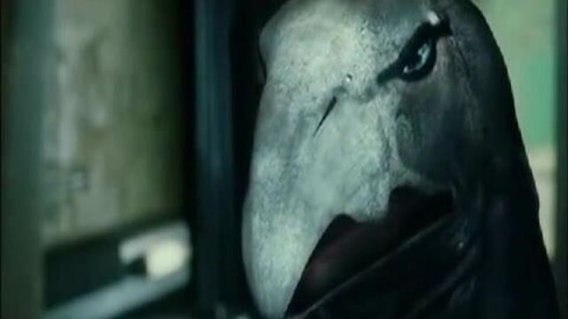 Linda Hardy - Immortal