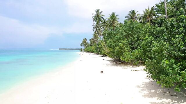 Indonesian babe 'putri Cinta' in 'In The Tropics' film