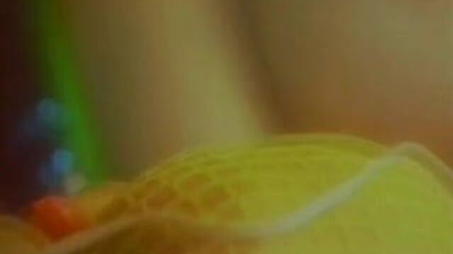 Summer Cummings Lusty Busty Doll