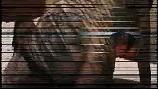 Slut Momo Brandon Anal