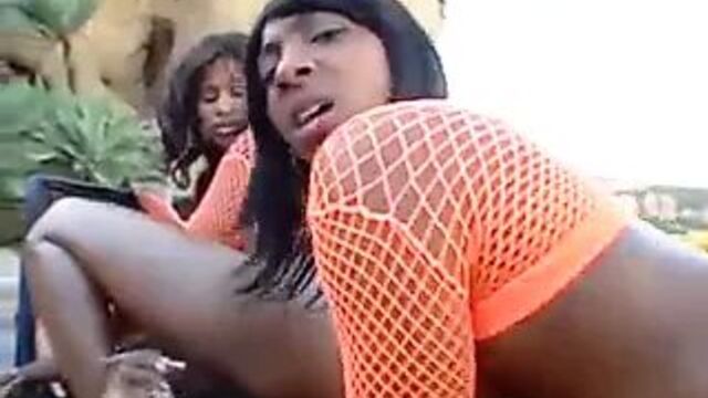 Roxy Reynolds and Diamond