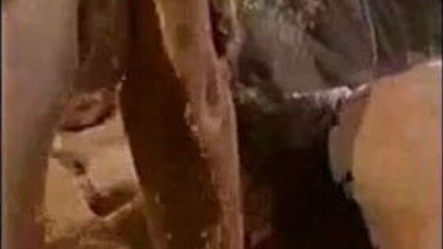 Threeway fun with a Hermaphrodite