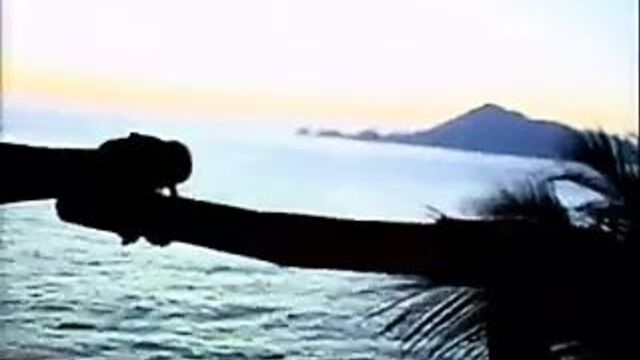 Taylor Hayes and Seymore Butts - Monkey Business BJ