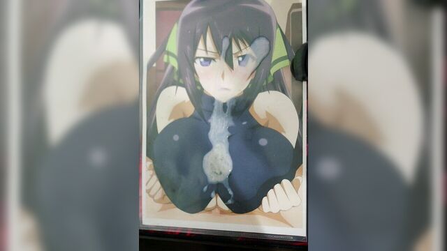 SoP Houki Shinonono (IS Infinite Stratos)